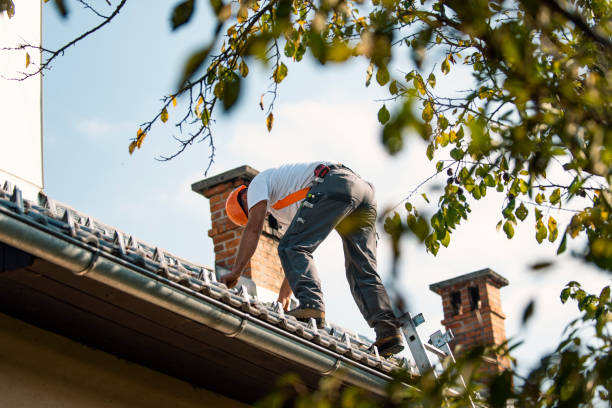 Best Gutter Replacement  in Streetsboro, OH